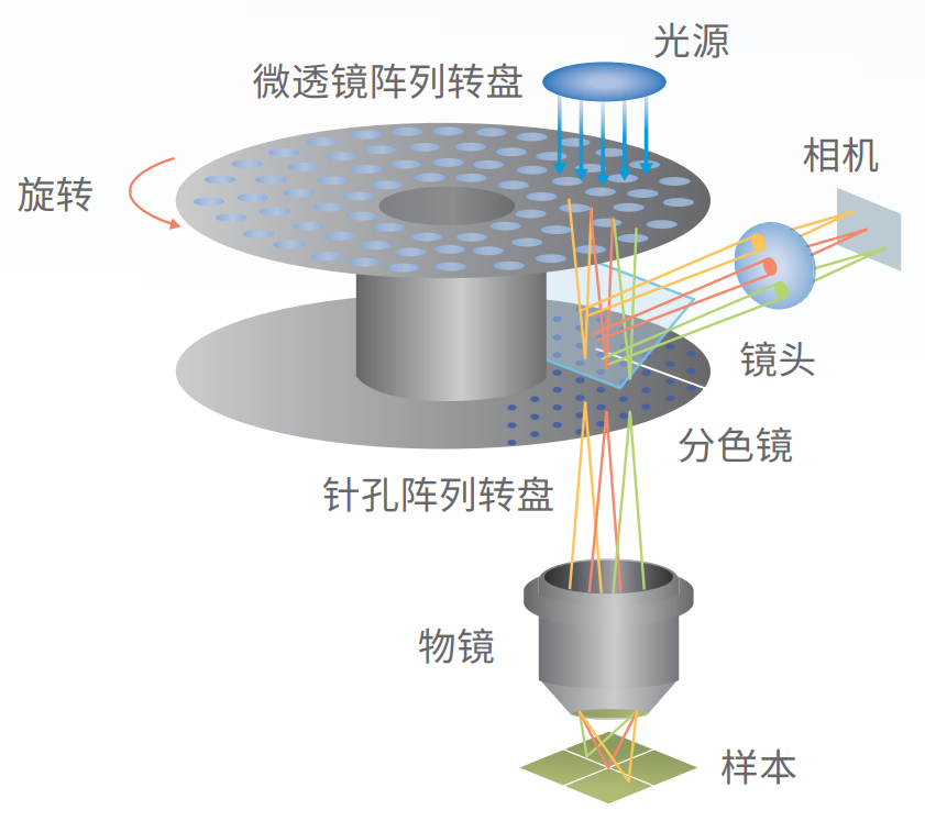 雙轉盤.png