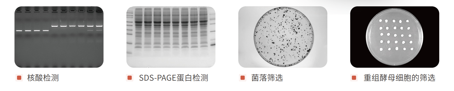 聯想截圖_20231206152426.png